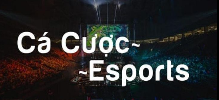 Cá cược Esports là gì?